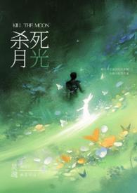 请杀死我的浪漫歌词是什么意思