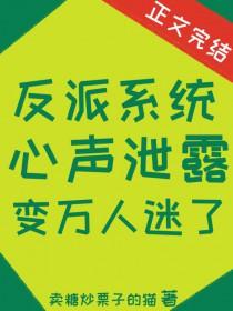 反派类系统