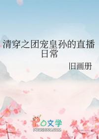 清穿之团宠皇孙的直播日常 旧画册 免费