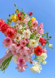 兄妹骨科1v1写校园知乎