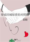 穿越成回城知青