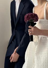 晚舫斋手札讲的什么