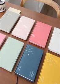 日记100字左右