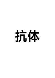 抗体英文