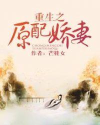 重生之原配悍妻格格党