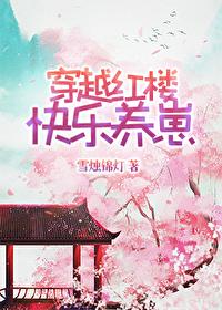 穿越红楼宠文