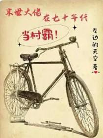 末世大佬在七十年代当村霸的