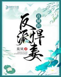 首辅的反派悍妻txt