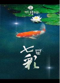 七星彩开奖号码结果历史记录