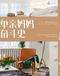 单亲妈妈奋斗记电视剧演员