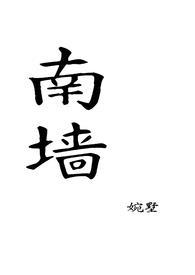 南墙已撞完整版