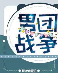男团战争 txt