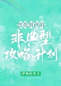 漂亮男孩儿非典型攻略计划