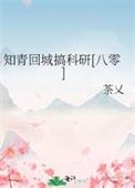 知青回城是什么意思