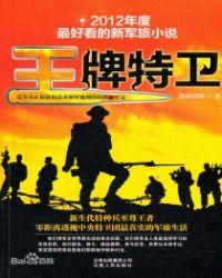 王牌特卫 梅雨情歌