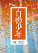 白杨少年番外