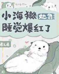 小海獭靠睡觉走红了