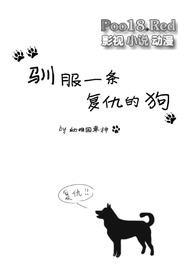 驯服一条复仇的狗全文