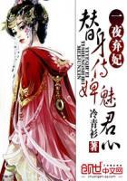 书名 替身侍婢魅君心一夜弃妃
