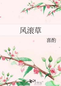 风滚草启发science子刊封面
