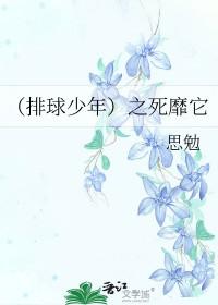 排球少年第四季崩坏