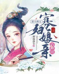 寡妇再嫁古言