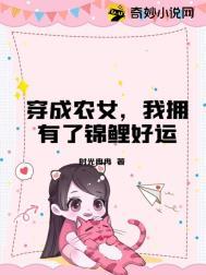 穿成农女怎么办作者stillhet