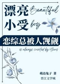 小受很漂亮精致