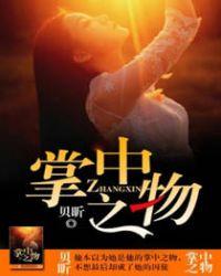 掌中之物讲的什么
