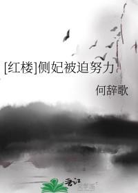 侧妃是什么