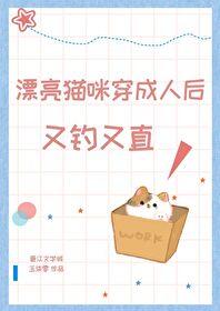 漂亮猫咪图片