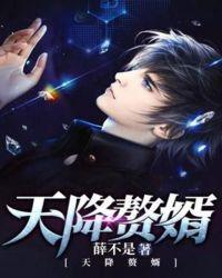 天降赘婿许秀婷