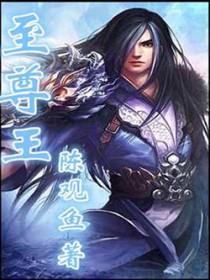 至尊王婿短剧全集