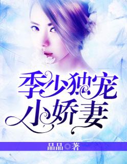 季少独宠妻全文阅读免费