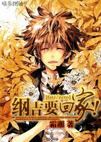 fatezero纲吉要回家txt