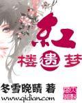 红楼遗梦双龙戏凤