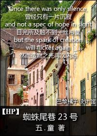 hp蜘蛛尾巷23号by五童