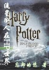 流星街人穿越网王