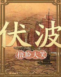 伏波将军马援的生平简介