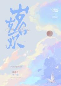岁岁合欢讲的什么