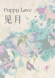 见月律师