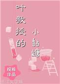叶教授的小黏糖免费阅读全文无