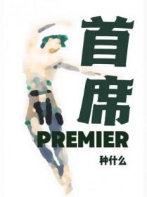 首席代言人是什么意思