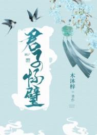 君子怀璧卫嘉玉