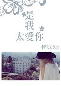 是我太爱你是我自作多情是什么歌