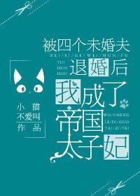 被四个未婚夫退婚后