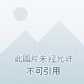 全民领主我的天赋有亿点强悍