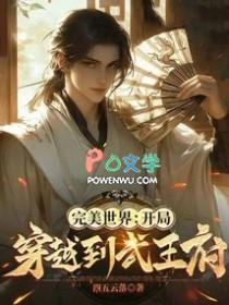 主角穿越到完美世界的