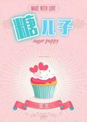 糖二代无防盗章