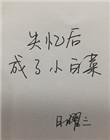 失忆后成了小白菜作者日曜三